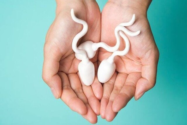xuất tinh muộn có thể ảnh hưởng đến khả năng thụ thai