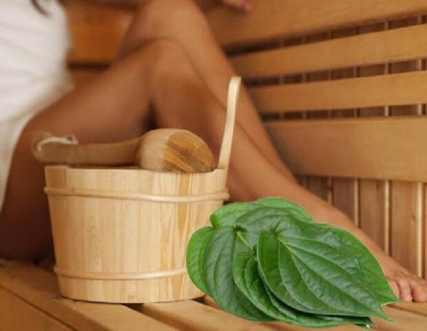 xông hơi với lá trầu không là một mẹo dân gian giúp vùng âm đạo se khít